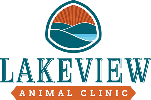 Lakeview Animal Clinic - Latrobe Vet and Premier Veterinary Clinic